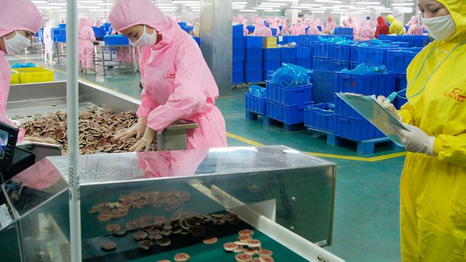 寵物食品第三股來了！ OEM 模式為主，能吃到寵物市場大蛋糕嗎？.jpg