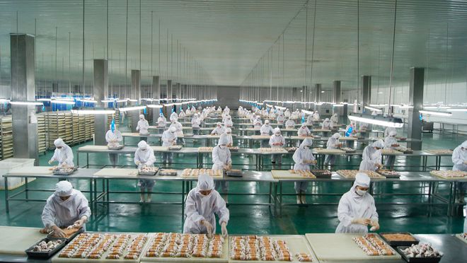 寵物食品第三股來了！ OEM 模式為主，能吃到寵物市場大蛋糕嗎？1.jpg