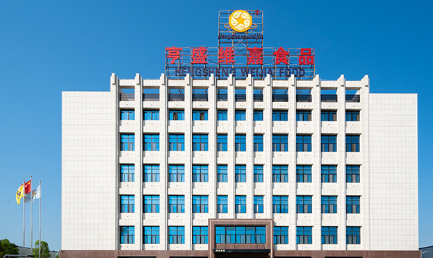 亨盛維嘉1.png