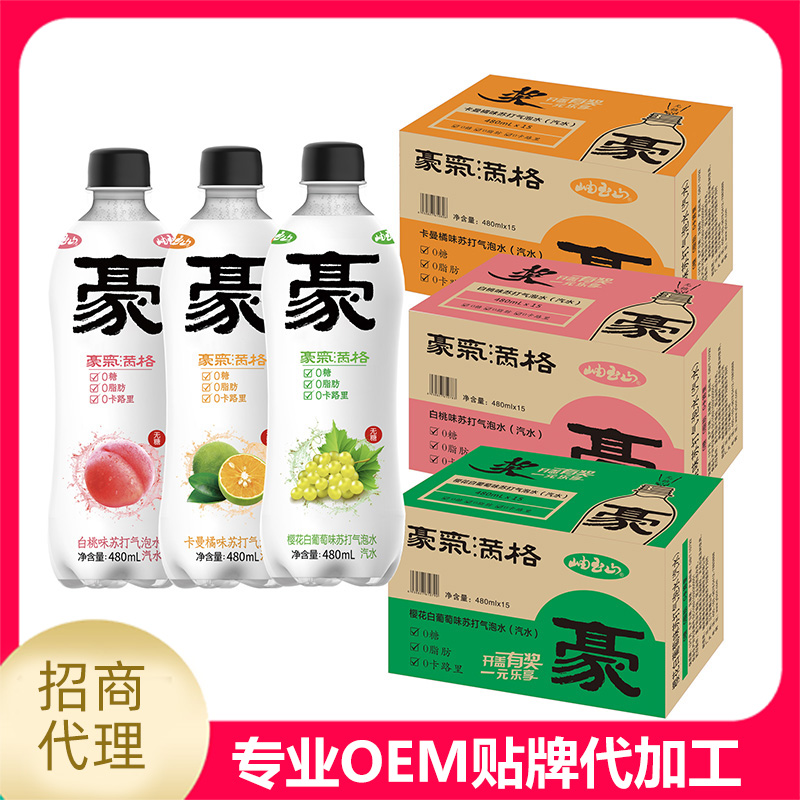 氣泡水.jpg