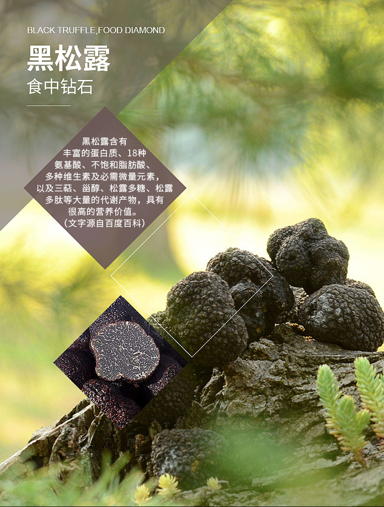 黑松露鹿鞭牡蠣肽_05.jpg