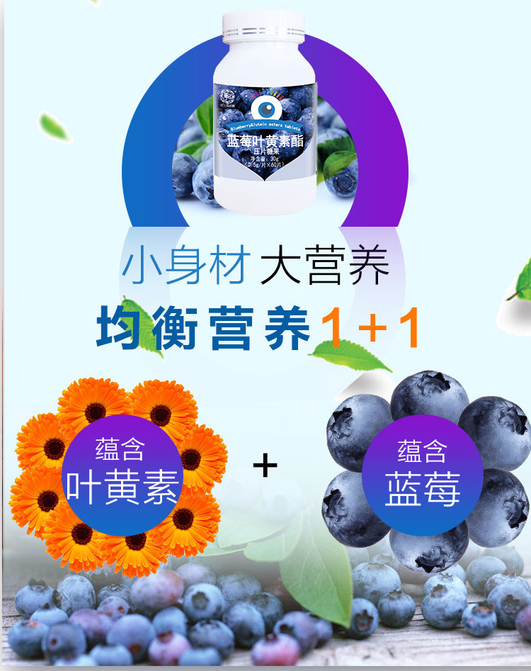 藍莓1_04.jpg