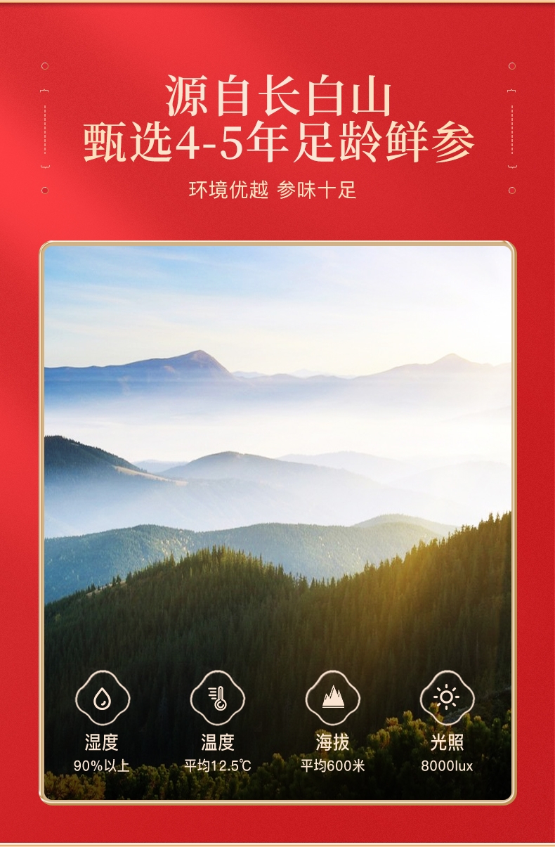 鮮參蜜片 (6).jpg