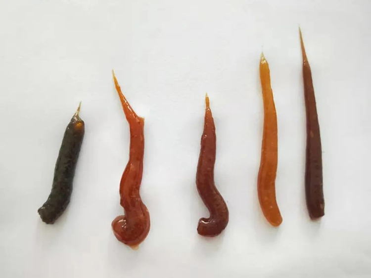 營(yíng)養(yǎng)膏系列.jpg