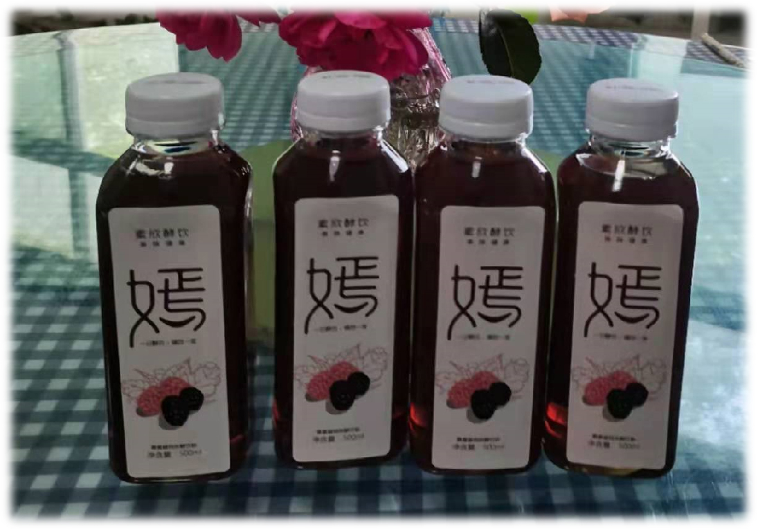 桑葚飲料.jpg