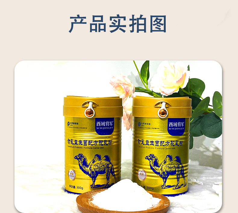 西域?qū)④姵跞橐嫔浞今勅榉踎10.jpg