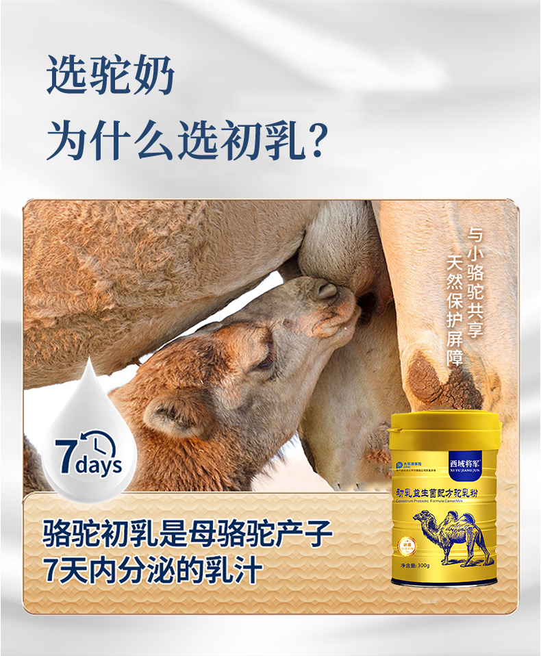 西域?qū)④姵跞橐嫔浞今勅榉踎04.jpg
