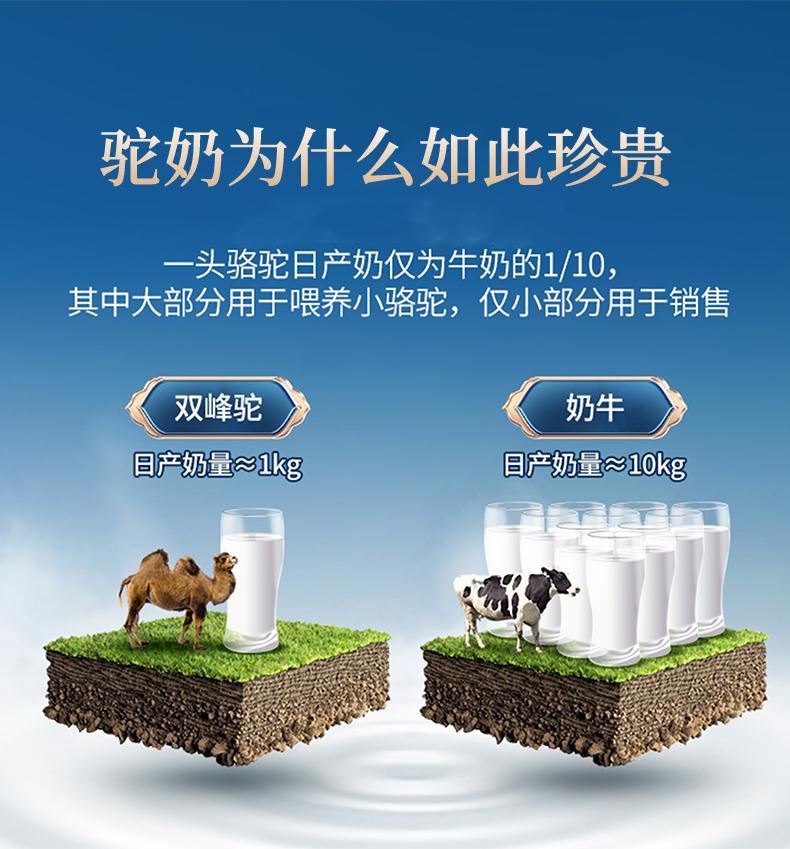 西域?qū)④姵跞橐嫔浞今勅榉踎05.jpg