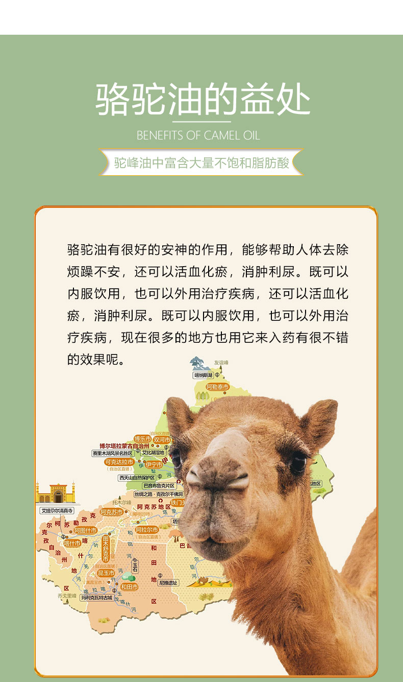 駱駝?dòng)驮斍轫?yè)6-8_06.jpg