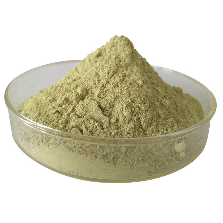 專業(yè)西蘭花粉代加工工廠,盡心竭力為您服務(wù)