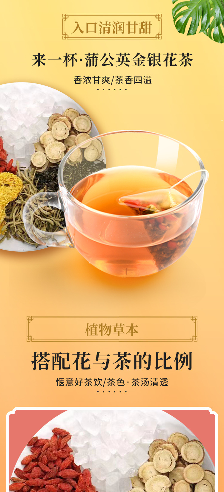 蒲公英金銀花茶 (3).jpg