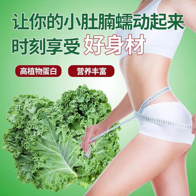 羽衣甘藍(lán)粉3g 15條盒裝青汁固體飲料一件代發(fā)抖音快手果蔬酵素粉2.jpg