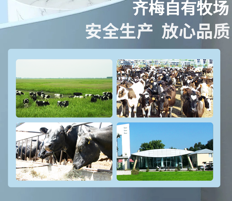 高鈣中老年奶粉 (8).png