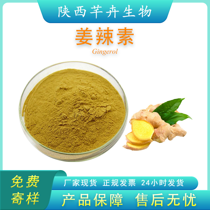 姜辣素 5%多規(guī)格 食品級 生姜提取物 姜酚 姜辣素粉原料 廠家包郵.jpg