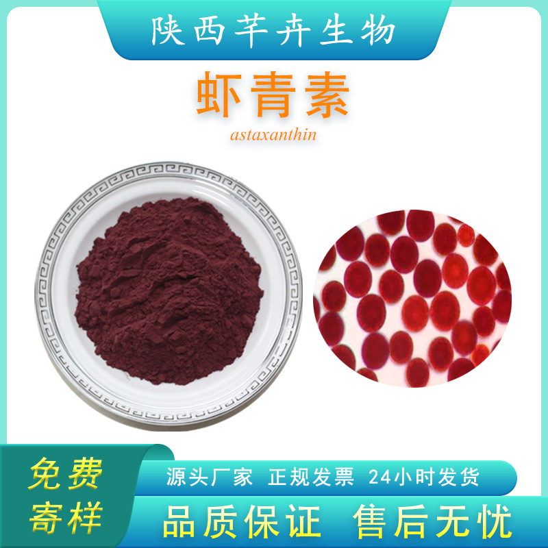 蝦青素粉1% 多規(guī)格 雨生紅球藻提取物 蝦青素提取物 雨生紅球藻粉.jpg
