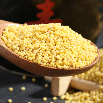 低溫烘焙熟黃小米貼牌OEM/ODM