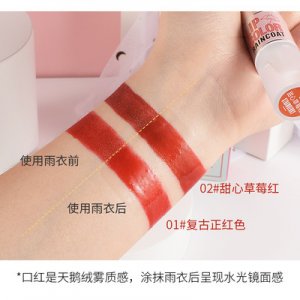 抖音爆款口紅韓雅詩(shī)鎖色口紅可OEM/ODM代工
