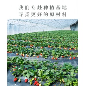 雪花酥牛軋?zhí)呛姹涸腺N牌定制代加工