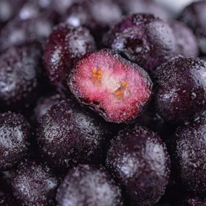 速凍水果藍莓鮮水果OEM代加工