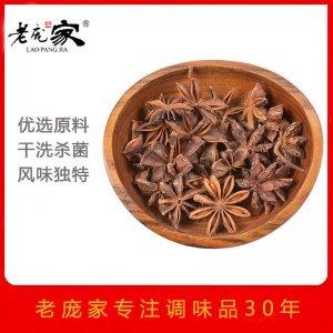 山東龐大調(diào)味食品有限公司
