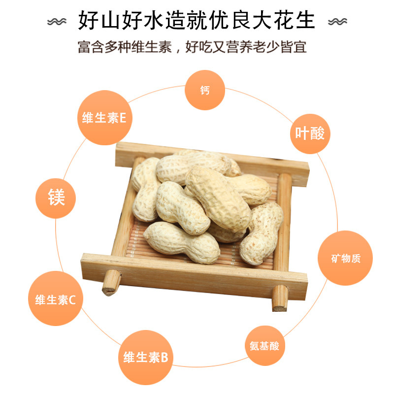 石家莊妙食代食品有限公司