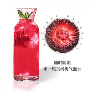 享果多真楊梅氣泡歡樂(lè)水楊梅果OEM/ODM