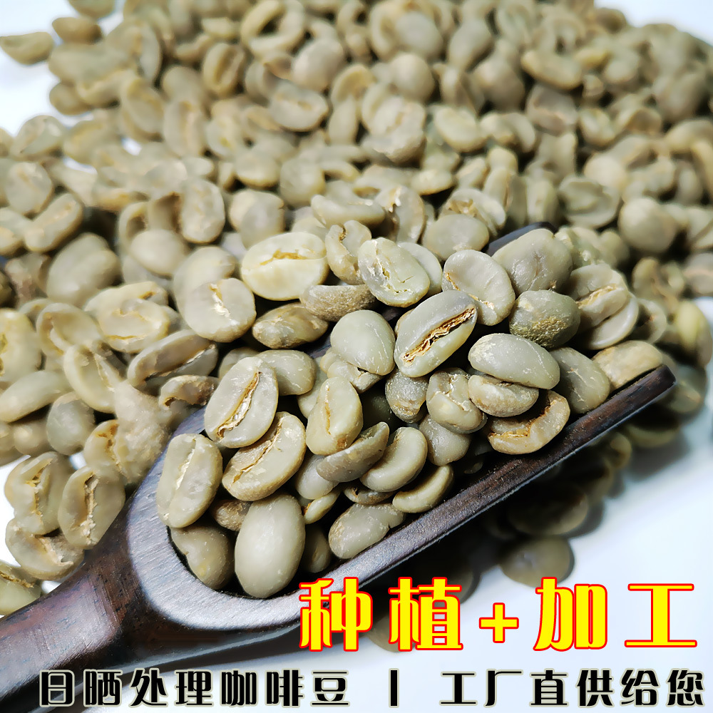 普洱咖啡批發(fā)生豆一級(jí)水洗豆新鮮全紅果OEM/ODM定制代加工