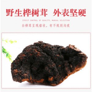 白樺茸精粉樺褐孔菌固體飲料代加工貼牌OEM/ODM