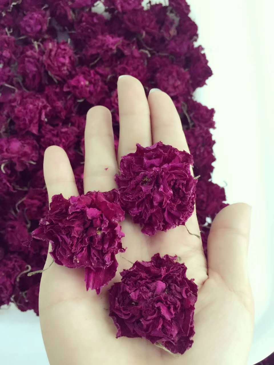 花冠茶半開(kāi)花冠茶OEM代加工