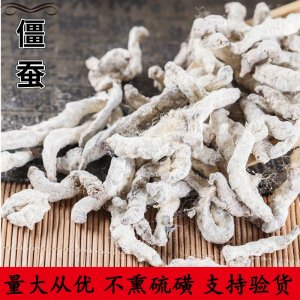 中藥材批發(fā) 僵蠶 優(yōu)質(zhì)白僵蠶 僵蠶粉 僵蟲 炒僵蠶量大從優(yōu)貼牌OEM/ODM