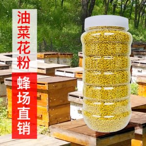蜂場(chǎng)蜂花粉吃的食用瓶裝代加工貼牌OEM/ODM