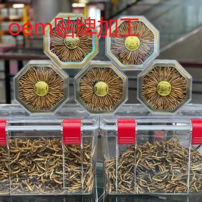 冬蟲夏草 凍干蟲草 全干大斷蟲草那曲蟲草貼牌定制代加工