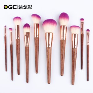 達(dá)戈彩10支化妝刷套裝貼牌定制代加工
