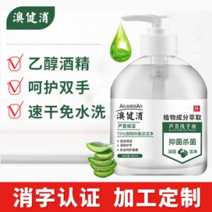 蘆薈抑菌洗手液500mlOEM/ODM定制代加工