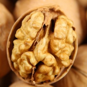 溫宿縣明達(dá)生態(tài)果業(yè)農(nóng)民專業(yè)合作社
