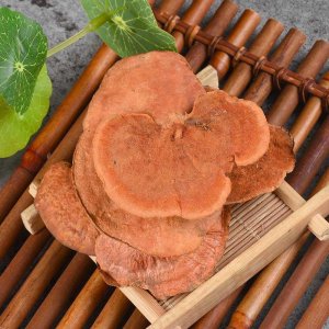 盧陽芝貼牌OEM/ODM