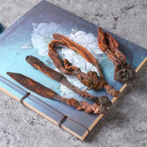 回春草代加工貼牌OEM/ODM