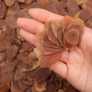 齊鑫藥業(yè)(深圳)有限公司