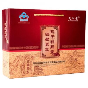破壁靈芝孢子粉,靈芝孢子粉,OEM/ODM定制代加工