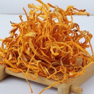 長條蛹蟲草貼牌定制代加工
