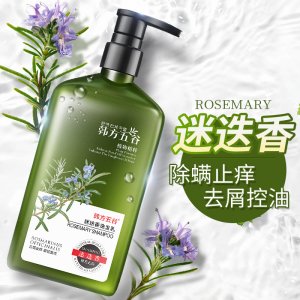 迷迭香控油洗發(fā)露