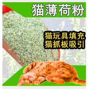 貓薄荷粉貓草粉末OEM/ODM代加工