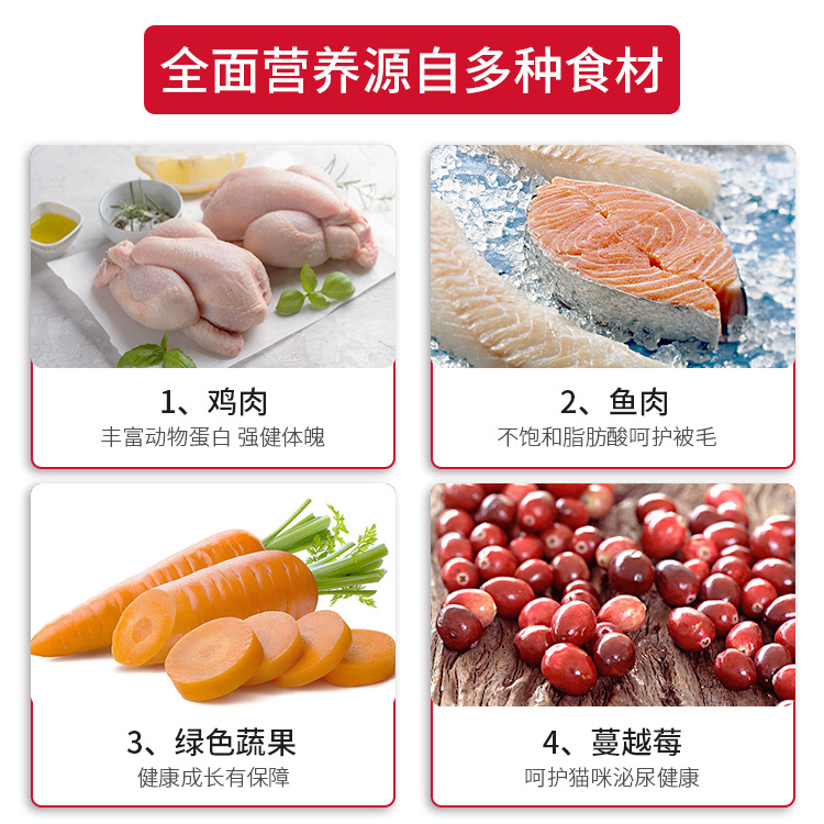 福貝制造全期貓糧貼牌OEM/ODM