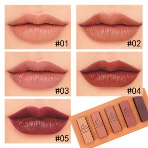 佩妮芬5支裝南瓜小口紅貼牌OEM/ODM