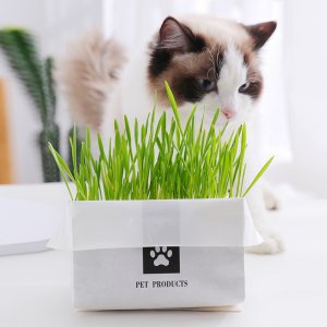 寵物貓咪零食OEM/ODM代加工 寵物貓咪零食OEM/ODM代加工