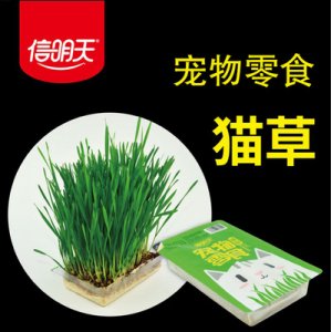 手工貓零食OEM/ODM定制代加工