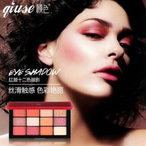 秋色爆款12色眼影盤貼牌定制代加工