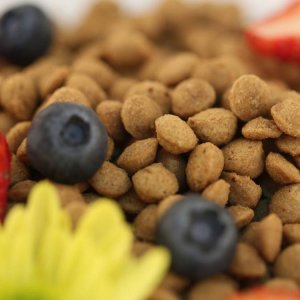 貝可恩營養(yǎng)犬糧代加工貼牌OEM/ODM