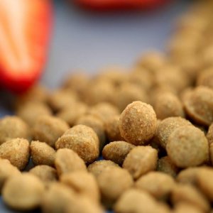 美特斯加高端犬糧貼牌OEM/ODM 美特斯加高端犬糧貼牌OEM/ODM