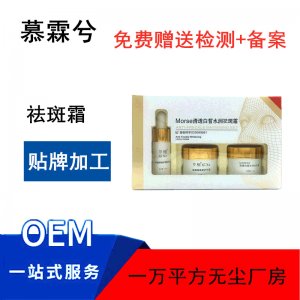 祛斑霜套裝 代加工貼牌OEM/ODM